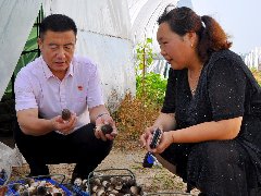 卢午申荣获2020年河南省脱贫攻坚奋进奖