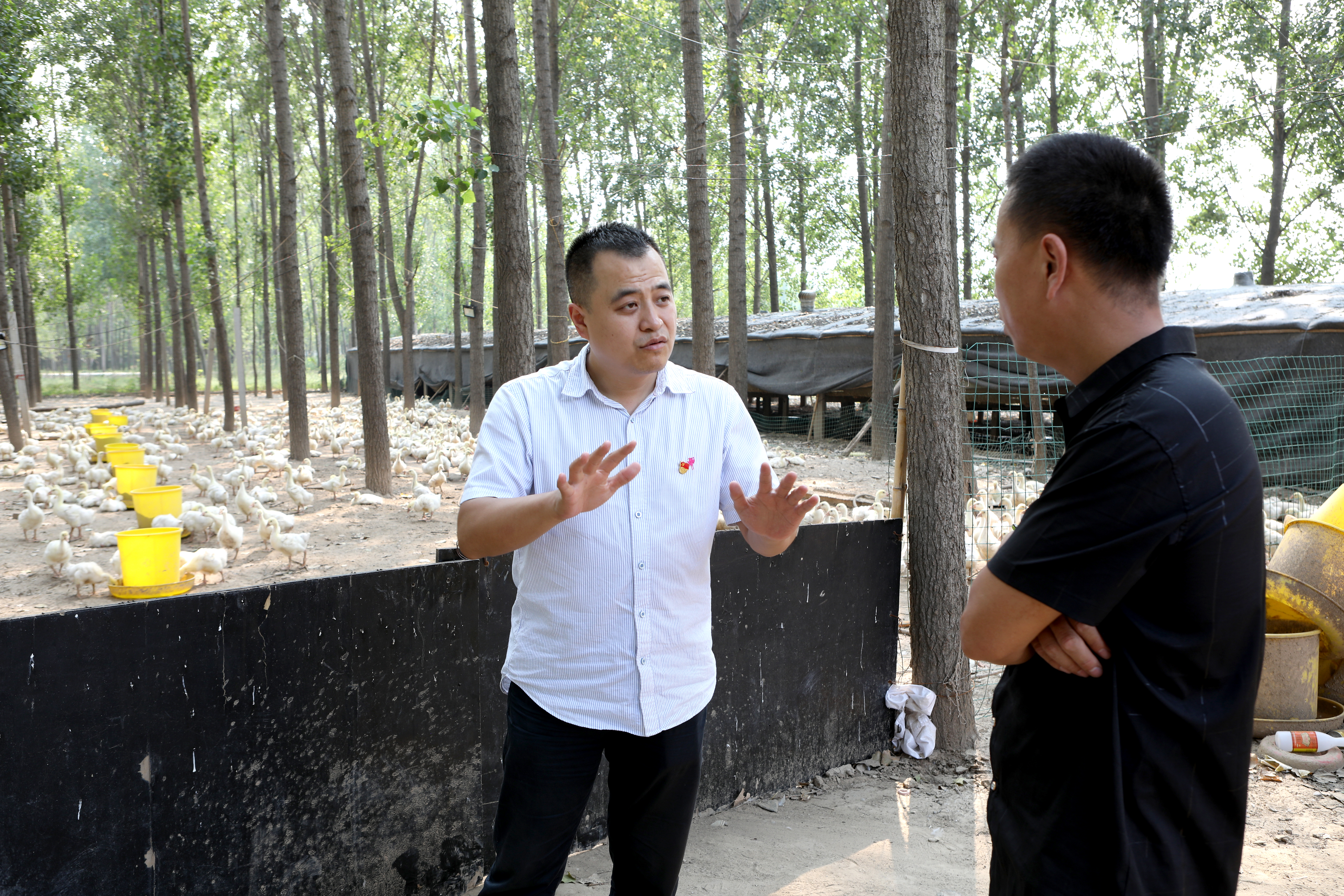 赵敬涛荣获2019年度河南省脱贫攻坚贡献奖