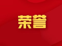 中国人寿荣获“智慧抗疫特别奖”