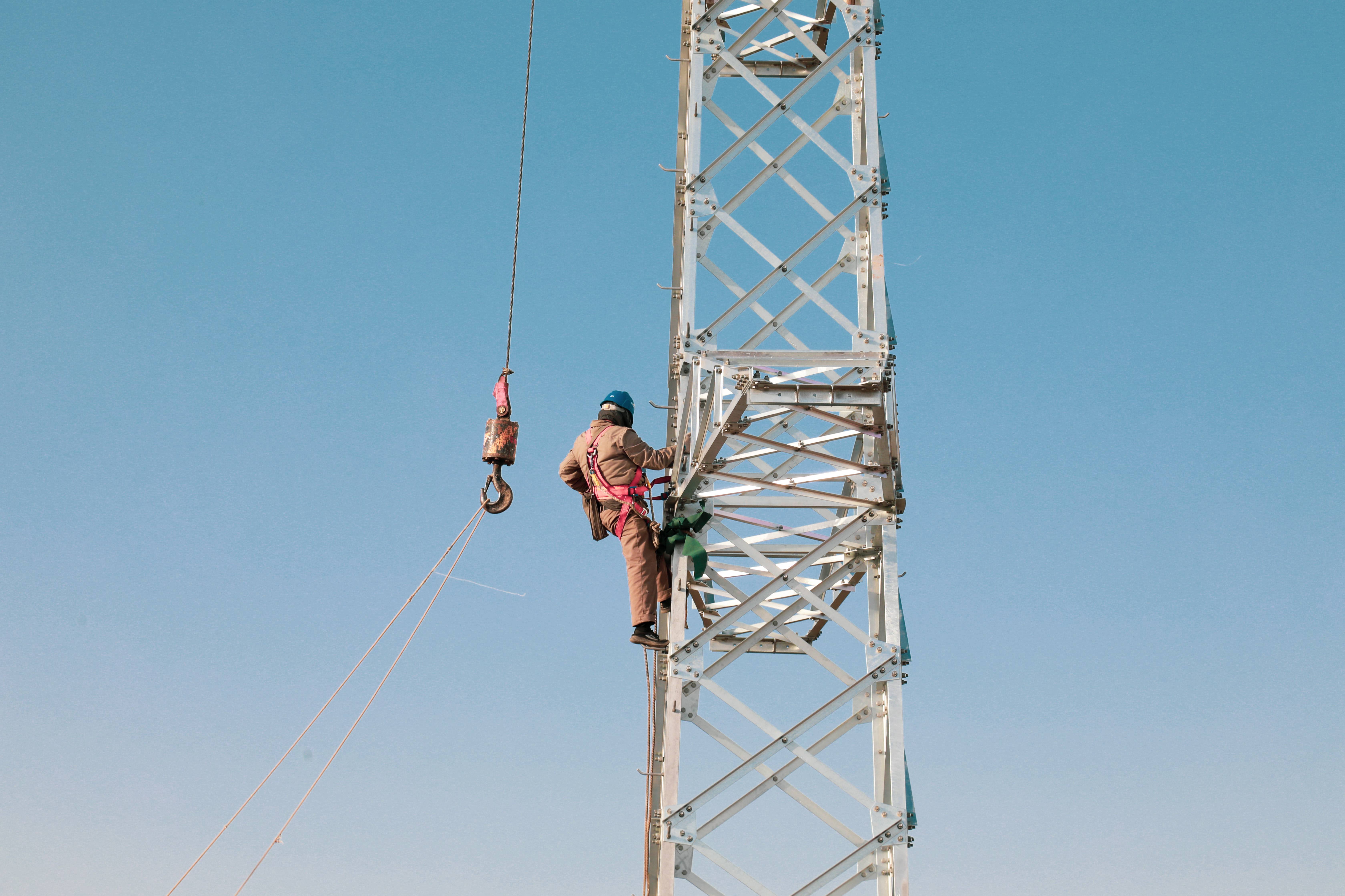 三九寒天架电网 可靠供电保民生