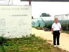 推行标准化生产，签发农产品“身份证”“通行证”