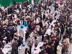 11.23万人次！示范区2024年“春风行动”招聘会暨零工市场揭牌仪式成功举行