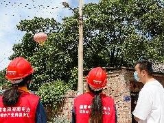 国网濮阳供电公司：不惧秋热查隐患 只为居民用好电