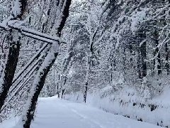 低温雨雪来袭 濮阳应急系统尽锐出战