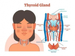 全国肿瘤防治宣传周--甲状腺肿瘤知多少