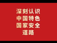 深刻认识中国特色国家安全道路（深入学习贯彻习近平新时代中国特色社会主义思想）