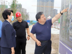 濮阳市委常委、常务副市长赵建玲调研濮阳杂技主题公园建设情况
