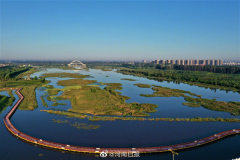 【濮水之阳有点忙】中原沃土六千年，濮阳从未停歇
