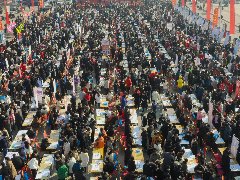 800+企业！17.6万人！2.8万个岗位！华龙区2023年“春风行动”大型公益招聘会成功举办