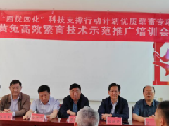 科技助力豫丰黄兔产业发展河南省“四优四化”科技支撑行动计划优质草畜专项——豫丰黄兔高效繁育技术示范推广培训会成功举办
