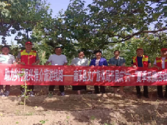 繁荣乡村文化  助力乡村振兴 南乐县文广旅体局开展庆“六一”夏季采摘游活动