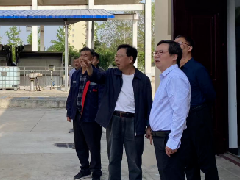 市纪委监委驻市城市管理局纪检监察组到市市政处调研